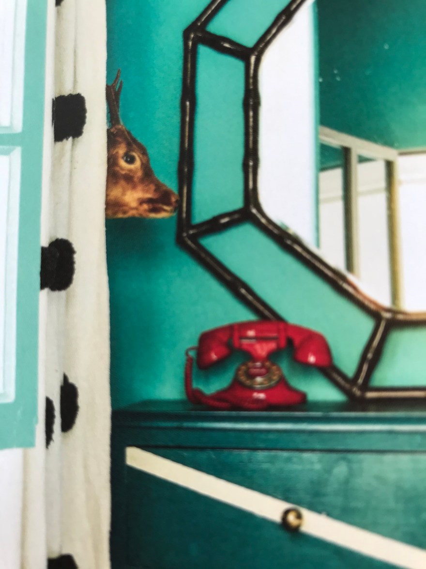 FM00fqEJQj2tHZFogngoBA